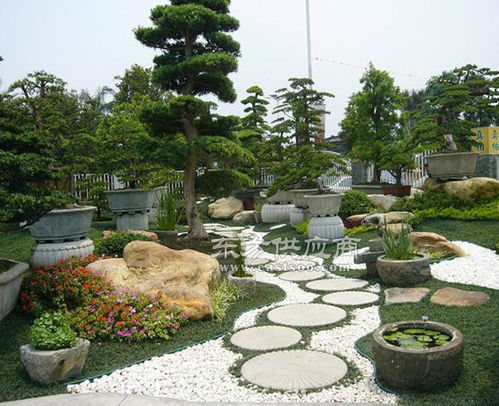 合肥道路景觀綠化工程施工 安徽天倫市政建設公司的專業實踐