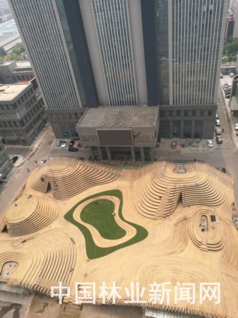 國內最大城市竹制景觀工程竣工 自然與城市的完美融合